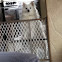 Miniature American Eskimo
