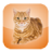 Cat Screen Cleaner icon