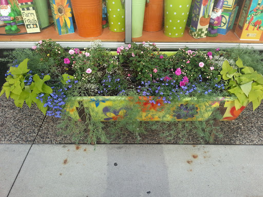 Decorative Display of Flowers