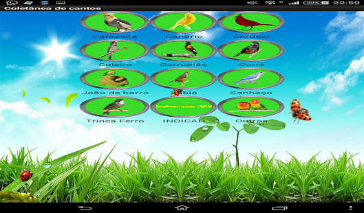 How to mod Canto dos pássaros 5 unlimited apk for bluestacks