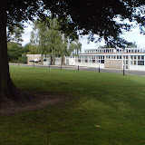 Contrast: de basisschool