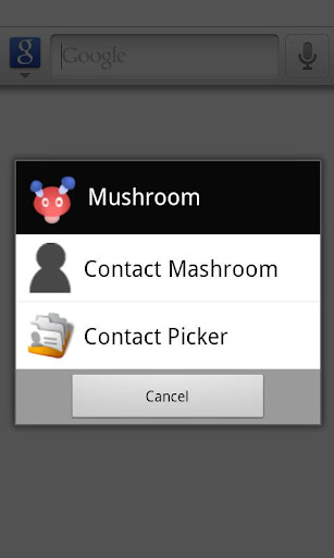 Contact Mashroom
