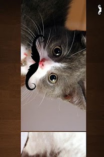 How to install Catstache lastet apk for bluestacks