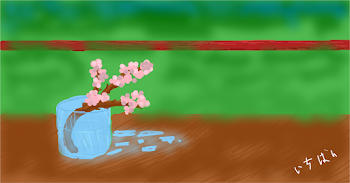 Cherry Blossom