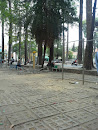 Health Street of Ho Chi Minh Central Park