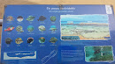 Canteras Fish Info Table
