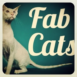 Fab Cats sounds videos photos.apk 1.1
