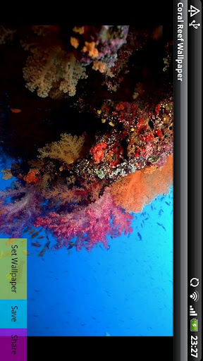 【免費娛樂App】Coral Reef Wallpaper-APP點子