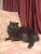 User profile picture thumbnail