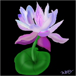 Glow Lily