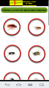 How to mod InfoPlagas lastet apk for android