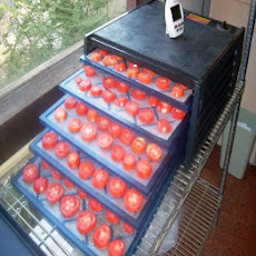 Dehydrating Tomatoes