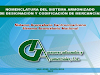 Sistema Arancelario De Cr Impuestos De Import
