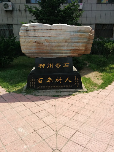 柳州奇石