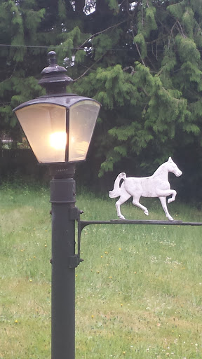 Horse Drawn Carriage Light