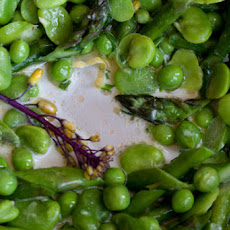 Spring Ragout
