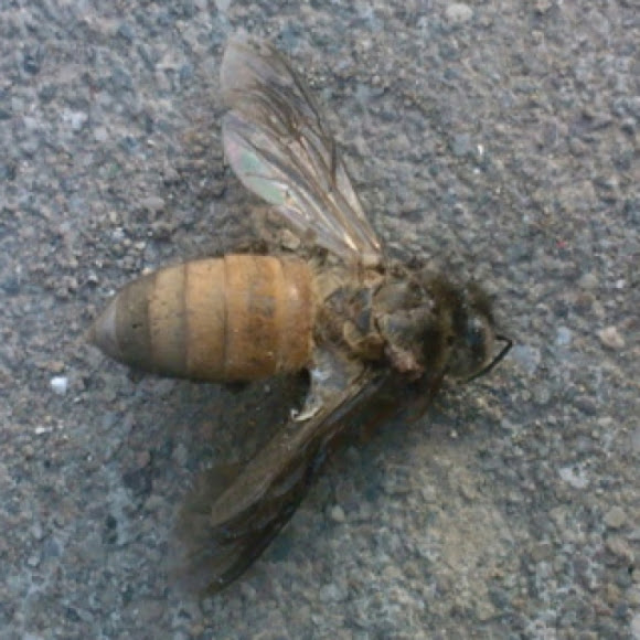 Spotting Image 1