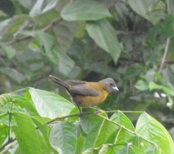 Spotting Image 1