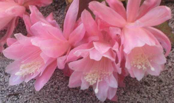 Spotting Image 1