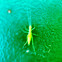 Unknown spotting