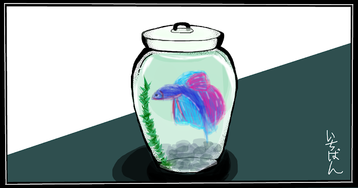 Betta