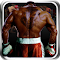astuce Virtual Boxing 3D Game Fight jeux