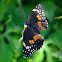 Bordered Patch