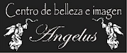 Centro De Belleza E Imagen Angelus