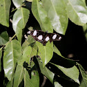 Diadem