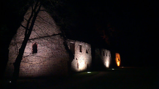 Kloster Nimbschen