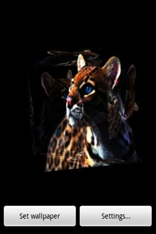 3D Leopard 070