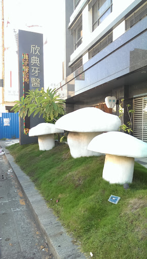 白菇菇