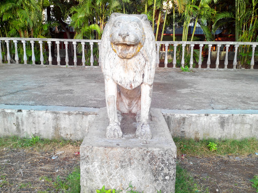 Lion in the Centre 
