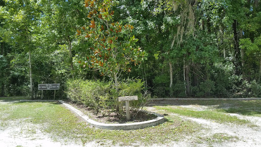 Trout Creek Magnolia