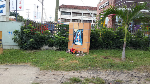 Virgen Maria Coronado