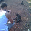 Monkey