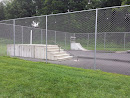 Skate Park at Youngs Field
