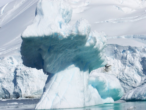 http://lh6.ggpht.com/Raford2/RZYFAyiM2sI/AAAAAAAAAR4/goJvqGUY_AE/antarctica+646.jpg
