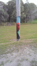 Red Bird Power Pole