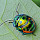 Arthropods of North East India
