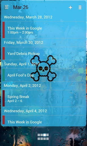 APW Themes: ICS Skull