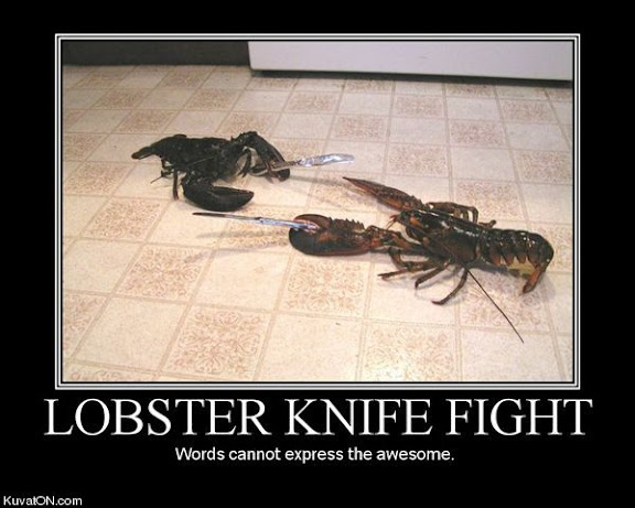lobster knife fight