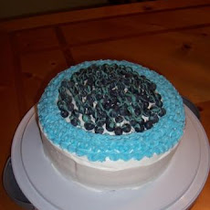 Easy 2-Layer Blueberry Cake