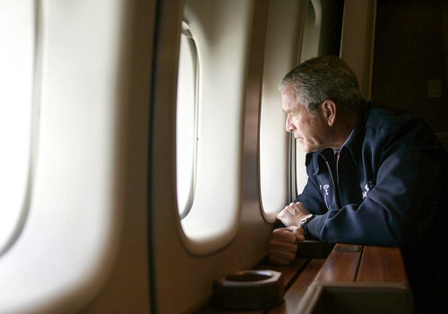 [bush[3].jpg]