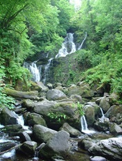 Torc falls