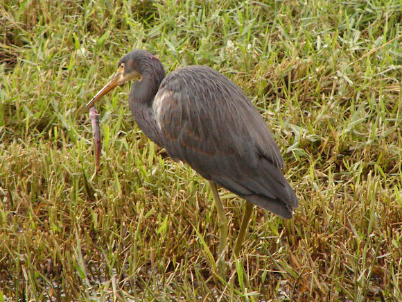 Spotting Image 1