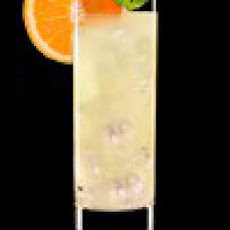 Orange Poppy