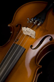 violin angled with reflection