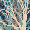 NATURESveinsSEANmartoranaINVERTED.jpg