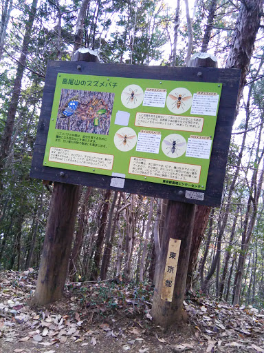 高尾山稲荷山コース標識ー高尾山のスズメバチ